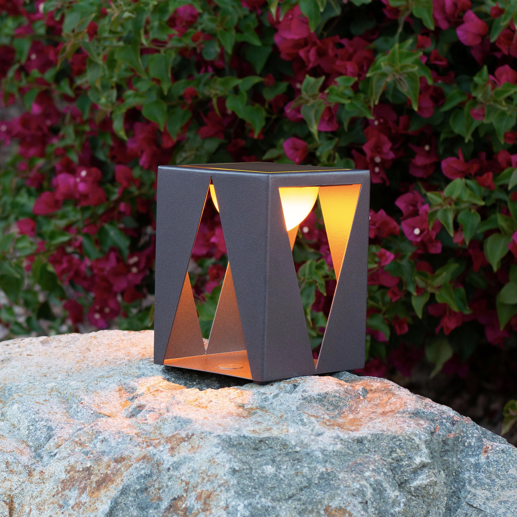 Teatree table light with ykary bulb on a rock outdoor