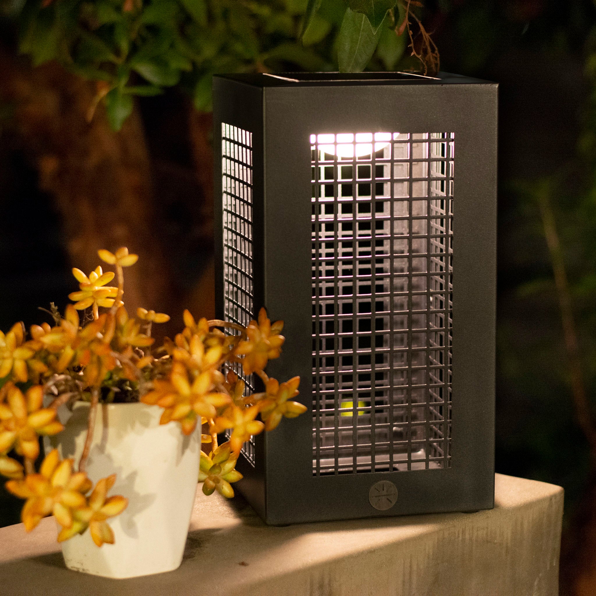 Koob solar lantern in space gray lighting up  plants outdoor