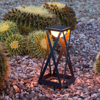 Rick solar lantern lighting up desert cactus plant and pebbles