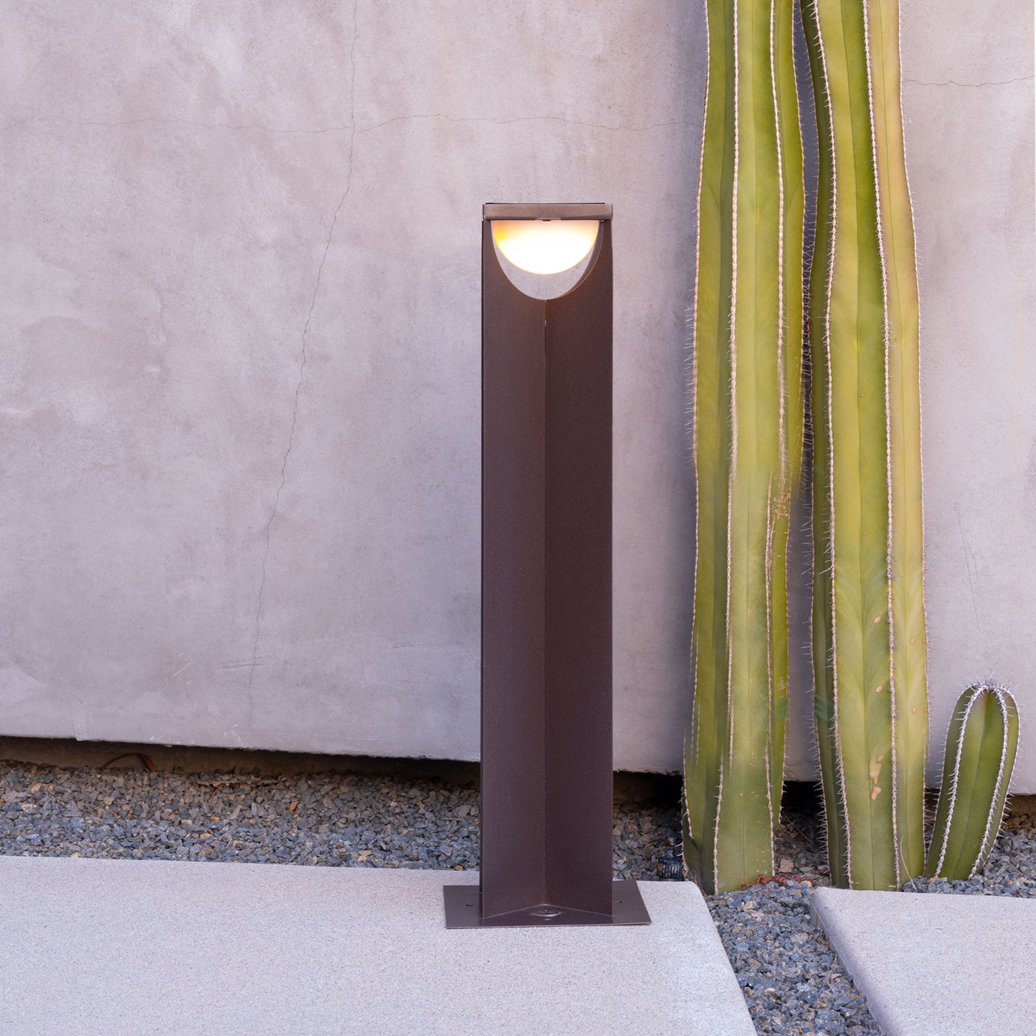 Flow solar light in cafe finish in the desert with cactus