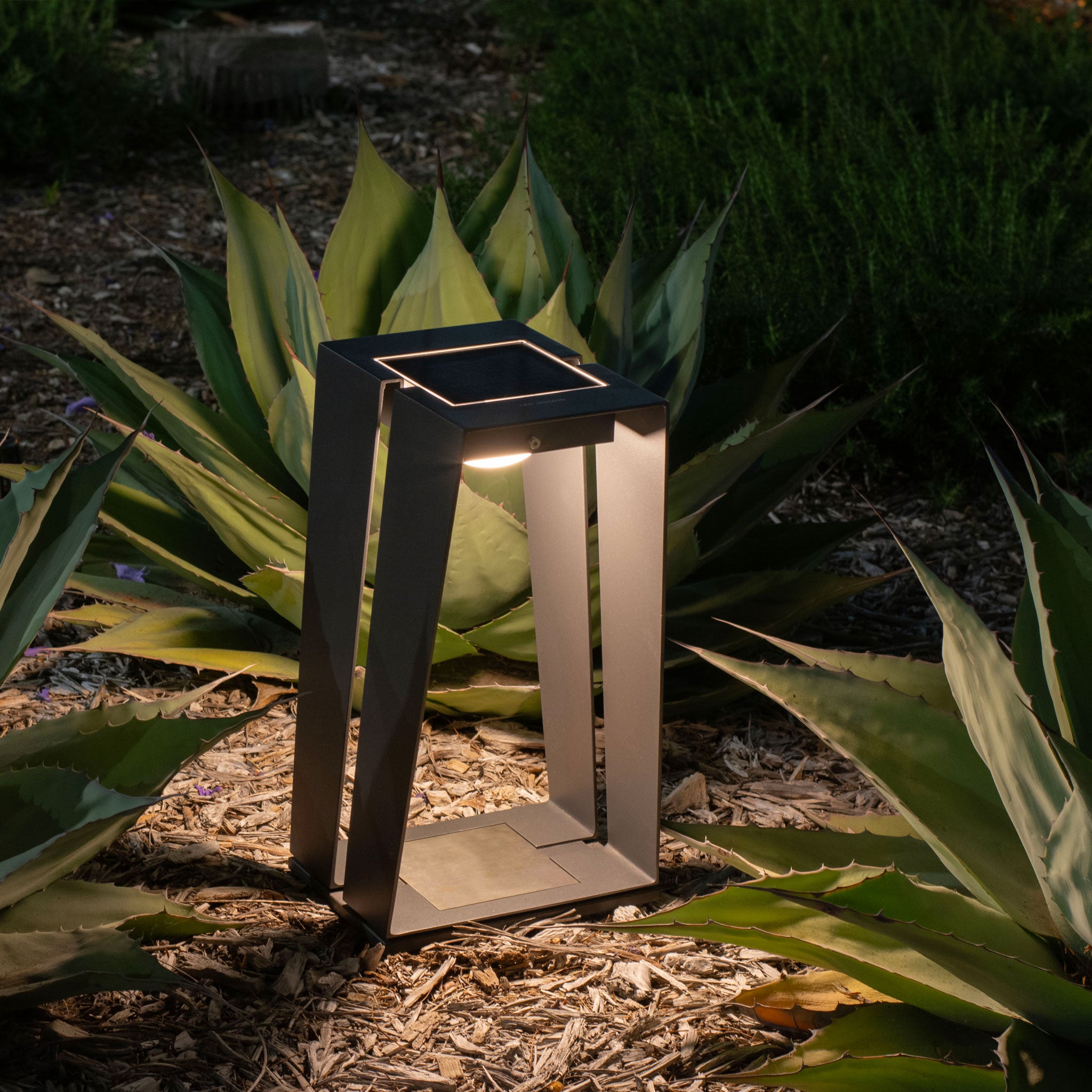 Skaal small lantern light up desert plant
