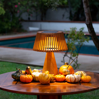 enoki solar  lamp lighting up pumpkin harvest near the pool